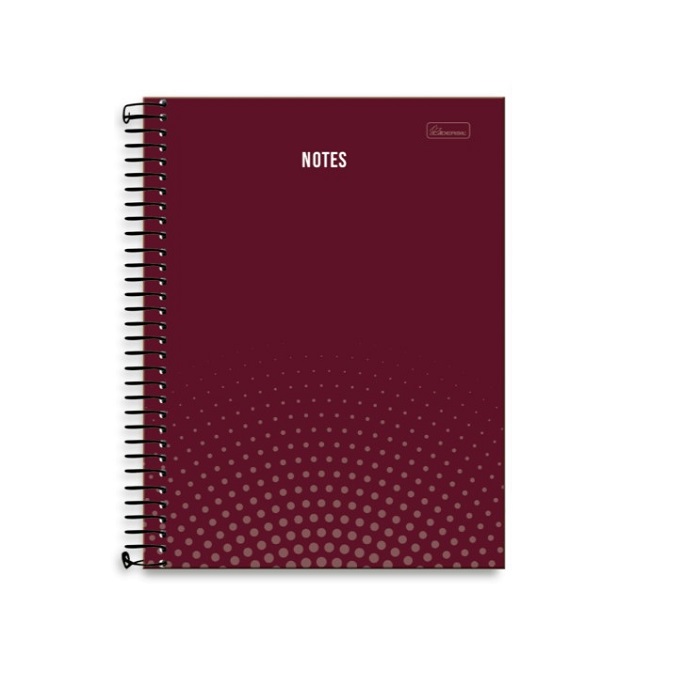 CADERNO CD 1X1 NOTES 96FLS 420001 CADERSIL