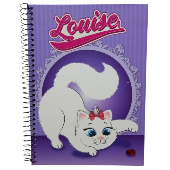 CADERNO CD 1X1 LOUISE ADESIVO 96FLS 375 MAXIMA