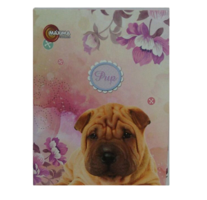 CADERNO CD BROCH 1.4 96FLS PUP 104541 MAXIMA UN