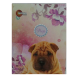 CADERNO CD BROCH 1.4 96FLS PUP 104541 MAXIMA UN