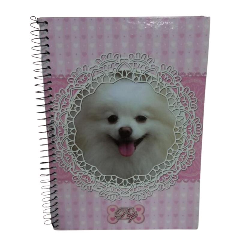 CADERNO CAPA DURA 1X1 96FLS PUP 91071 016840 MAXIMA UN